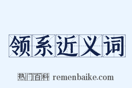领系近义词是什么意思的图片